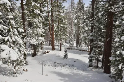 DSC_6662 (Large).JPG